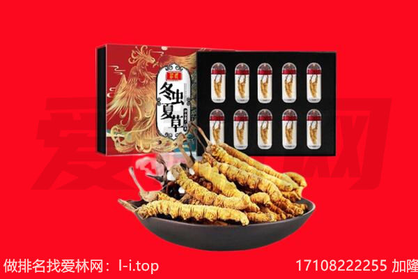 六盘水钟山区回收虫草.jpg
